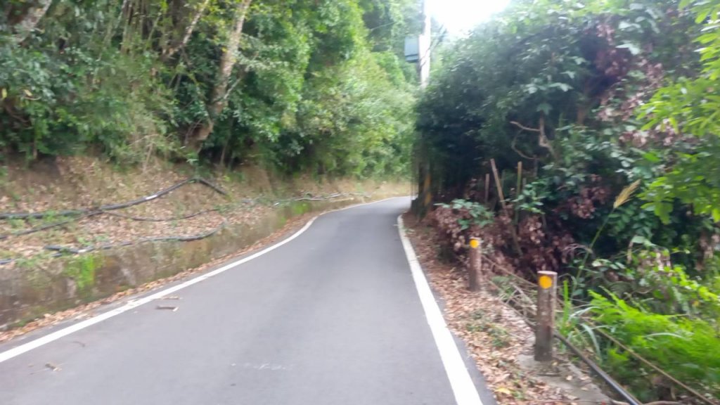 20221105苗栗泰安雪見探路_1900307