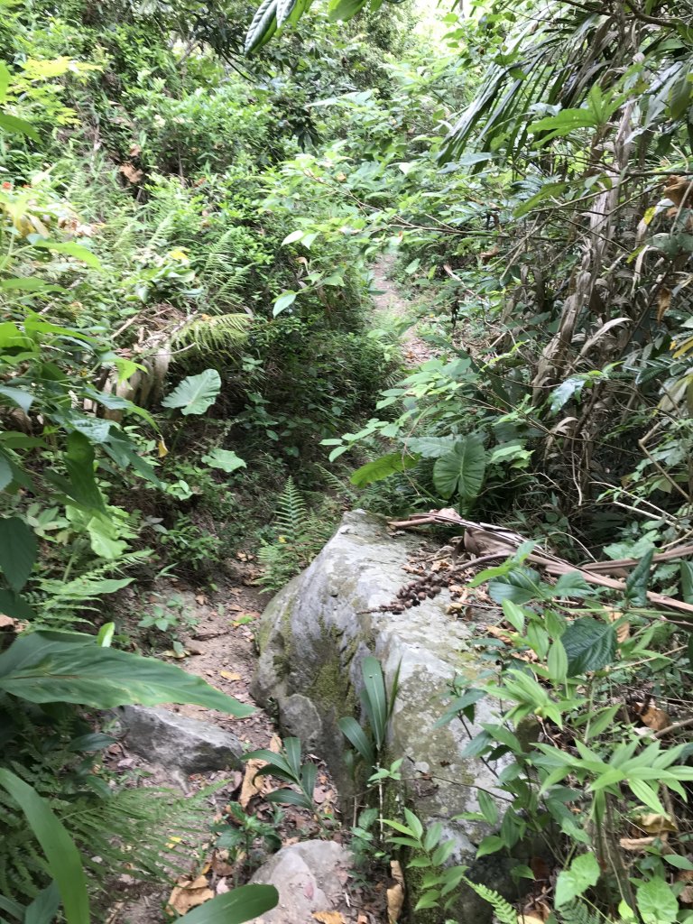 109年6月21日烏山紫竹寺-刣牛湖山_1007528