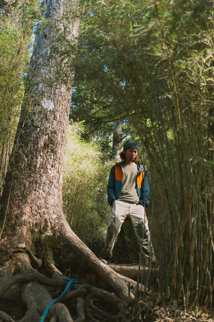 合歡東西北下華崗_1995758