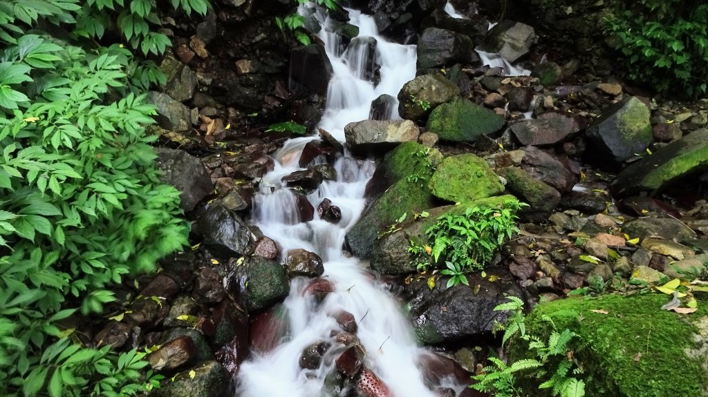 八煙,擎天崗,冷水坑封面圖