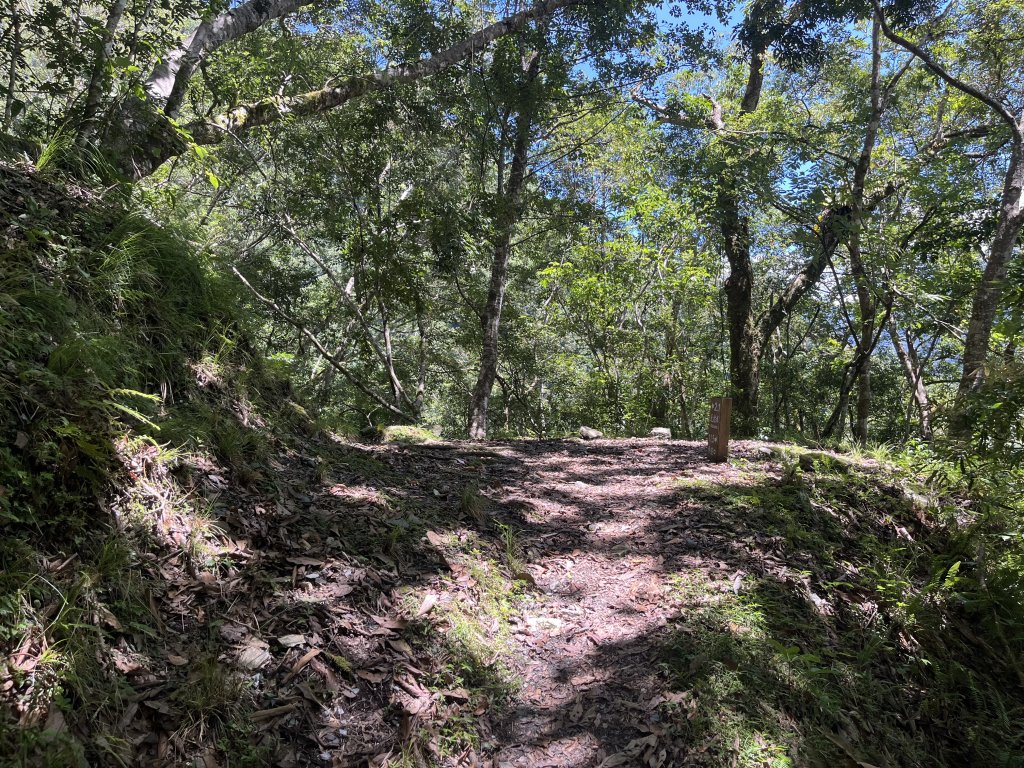 [玉山尋寶任務-03/12] 2025_0810 瓦拉米步道_2857772