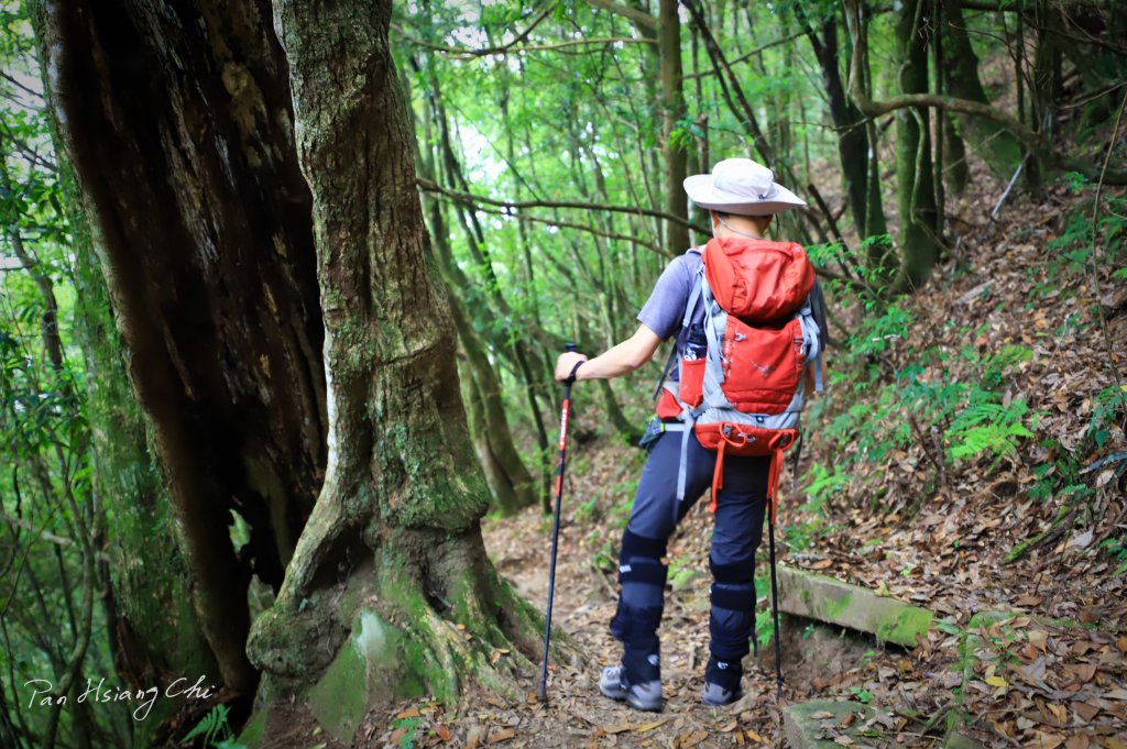 大暑日之高島P型縱走_1774777