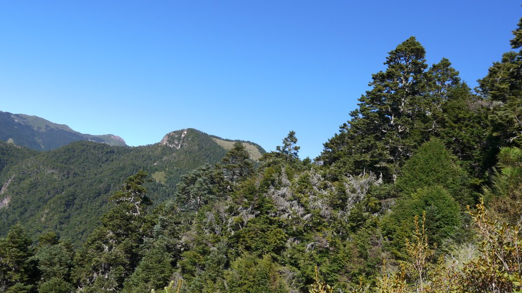 池有山單攻登山健行趣(百岳52)_1515272