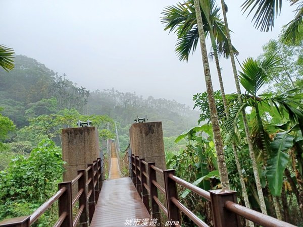 【雲林古坑】適合親子散散步。 華山小天梯情人橋_1681760