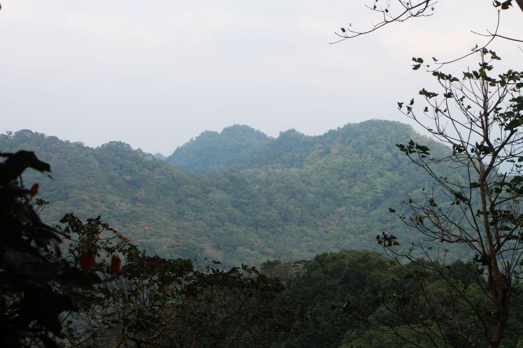南庄 景點多 ~ 走吧 ! 登山健行休閒旅遊 ..._223476