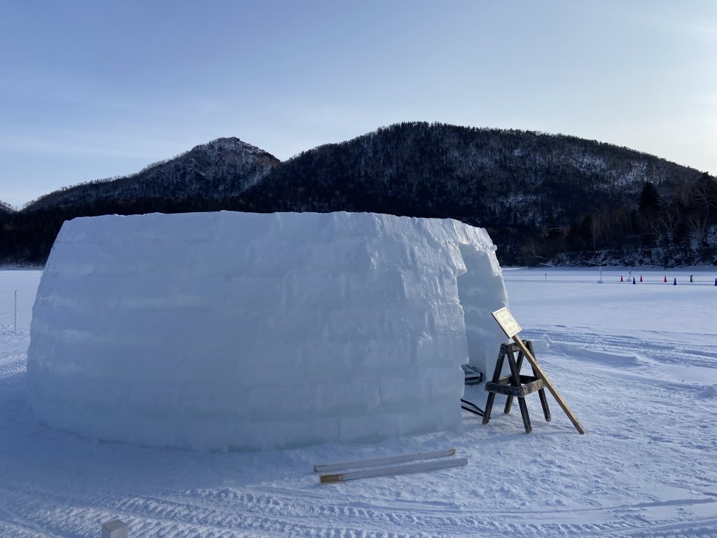 北海道------雪祭_3001907