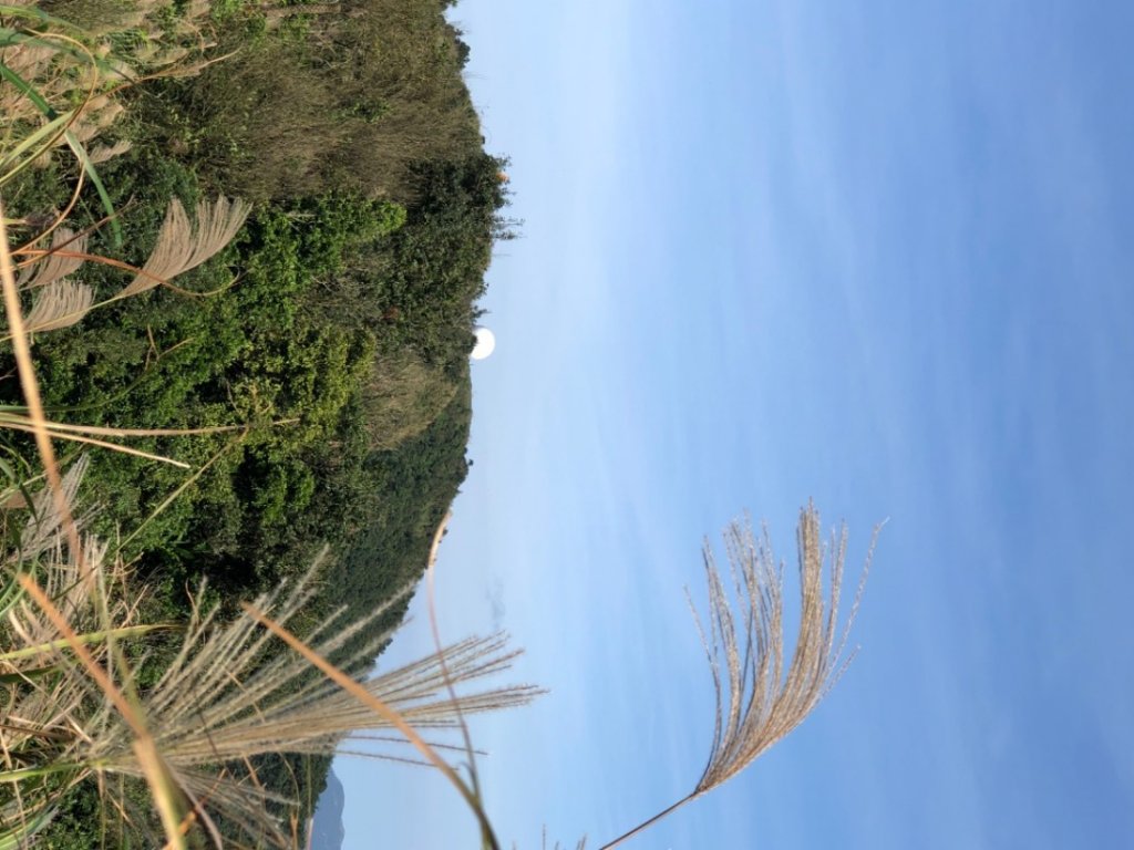 2019.11.10-五分山步道_2013618