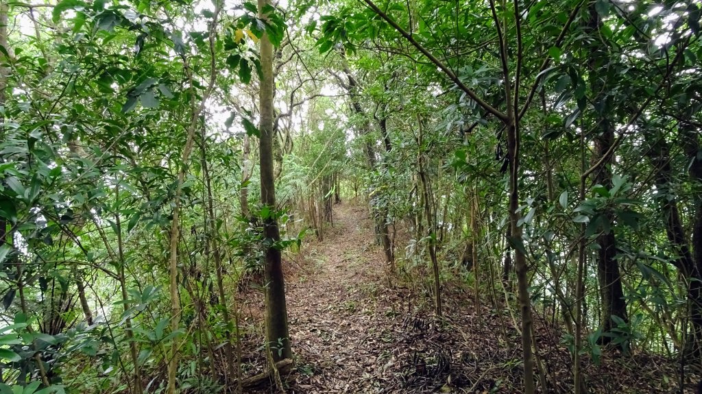 槓尾山,四分尾山,和尚頭山,大尖山_2244969