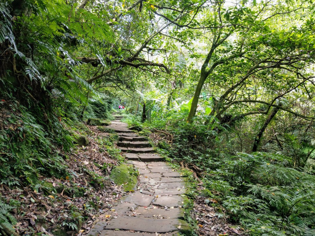 天上山(小百岳#18)經文筆山、清雲路出_986965