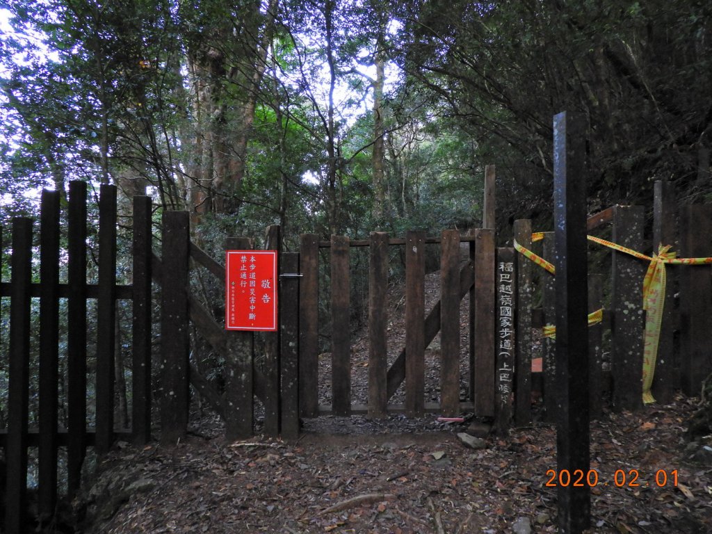 桃園 復興 拉拉山_820545