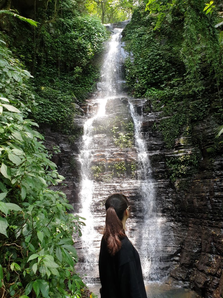汐止大尖山與美麗的油桐花_748659