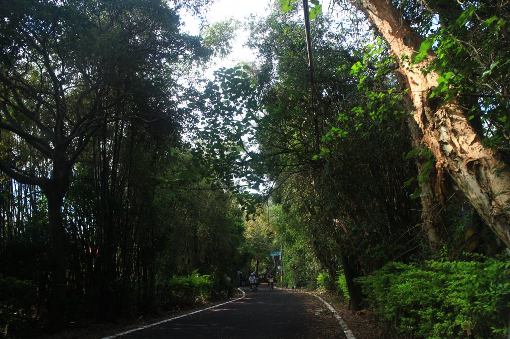 桃園新屋綠廊自行車道20221127_1968461