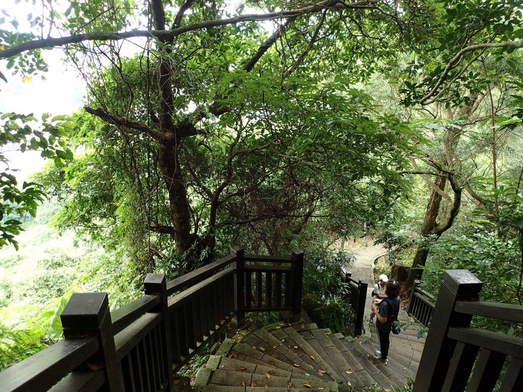 訪仙跡岩, 尋找神仙落腳的痕跡!_1740799