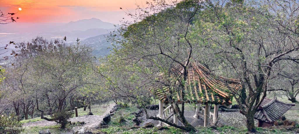 #翡翠水庫壩頂 #雲海 #日出 #陽明公園 #夕陽1/9_2979448