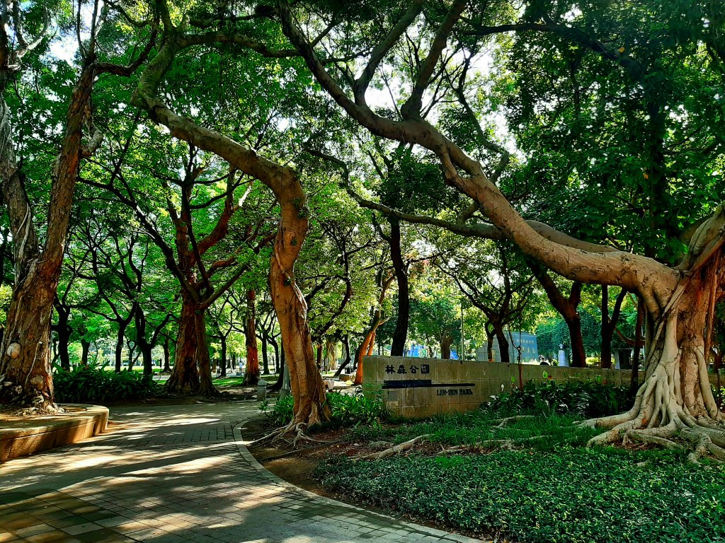 臺北趴趴走｜文山森林、台大、林森、淡水、大安森林、象山_2238345