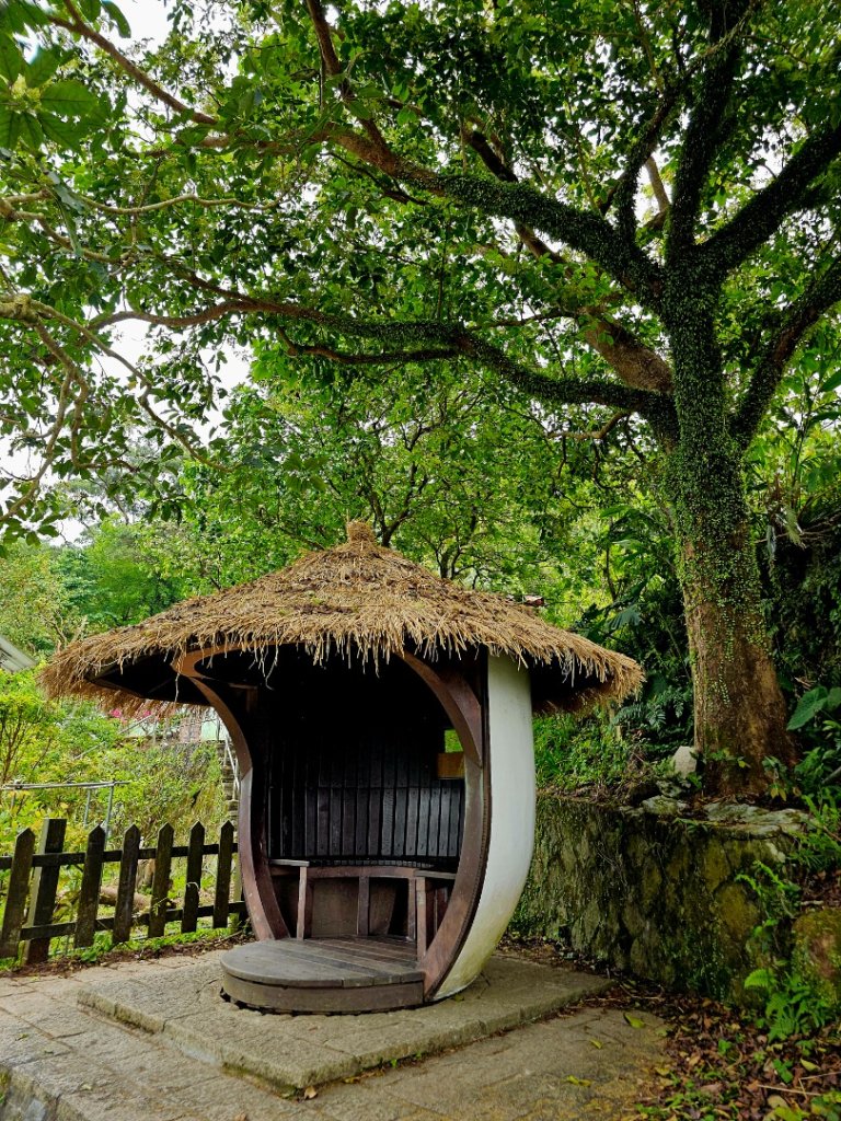 2025年臺北大縱走第七段：世界山莊至飛龍步道政大後山_2757366