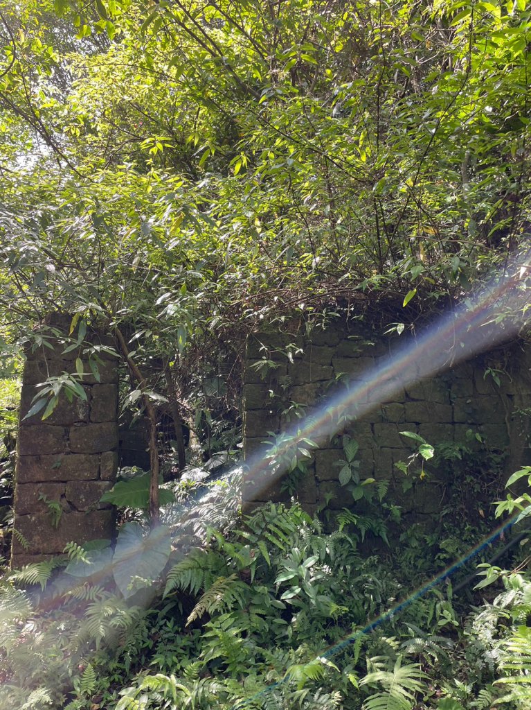 冷飯坑山_2140235