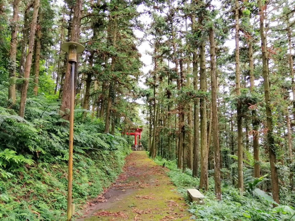 悠悠古道森林浴。 鳴鳳山遊憩區封面圖