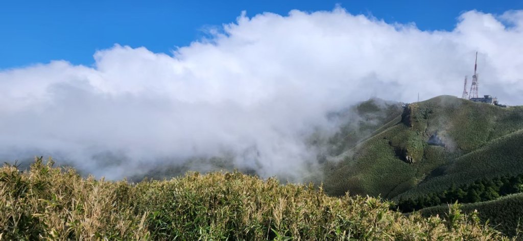 【中級山】台北版抹茶山竟然有免申請路線，小觀音山西峰單攻，順遊頂湖海芋步道，竹子湖黑森林_2742398