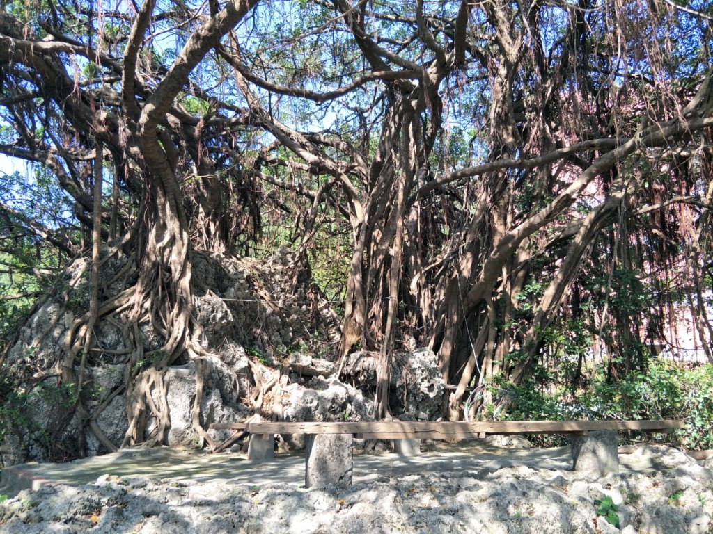 小百岳:南壽山十(海岸+少女峰+壽山+仙女山)_1620841