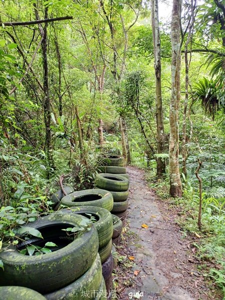 【新竹橫山】綠蔭夾道流水淙淙。2024森遊竹縣。 騎龍古道_2616221