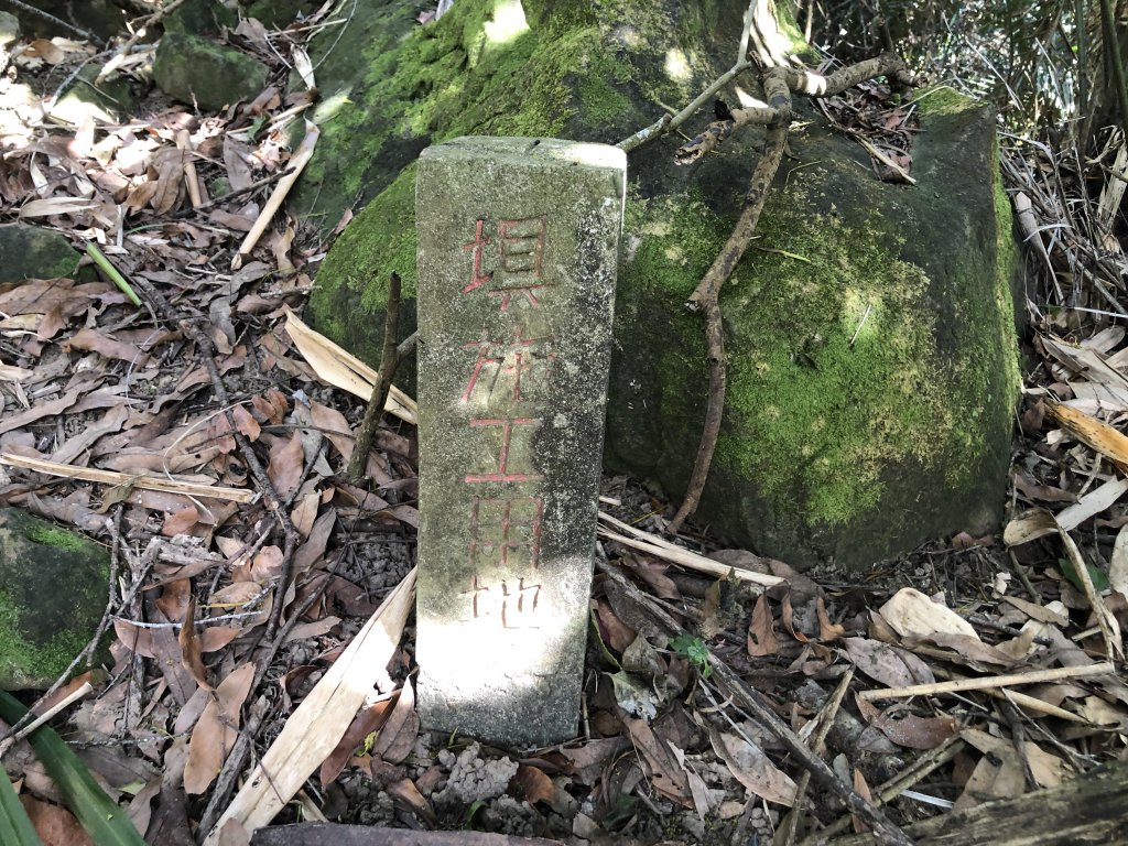 關仔嶺大凍山步道走曾文水庫O型_1611855