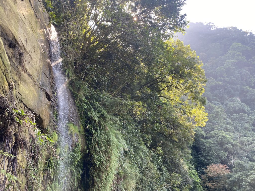 《銀河洞越嶺到貓空｜冬日健行 4 5 公里秘境步道｜親子也適合的台北近郊路線》_2971027