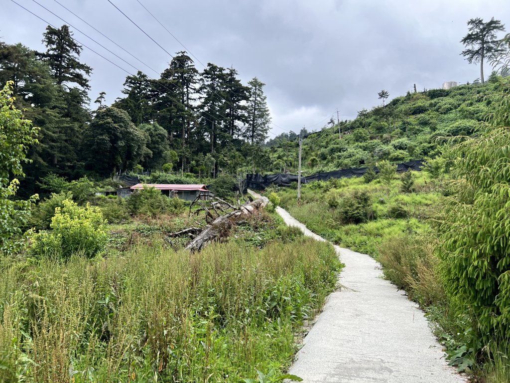 將軍廟上天鑾池上下_2162780