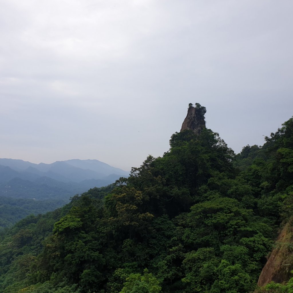 孝子山封面圖