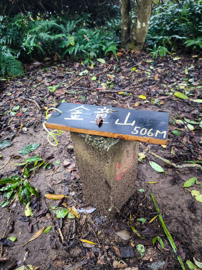2025-03-08 汶水三山：金童山、汶水山、玉女山 連走_2736511