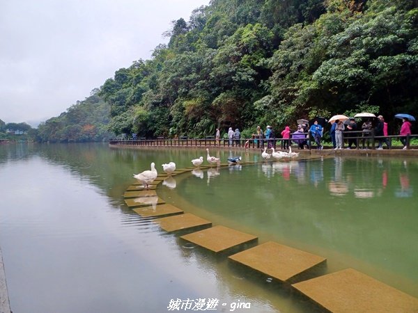 【宜蘭三星】湖光水色。 長埤湖風景區(環湖步道)封面圖