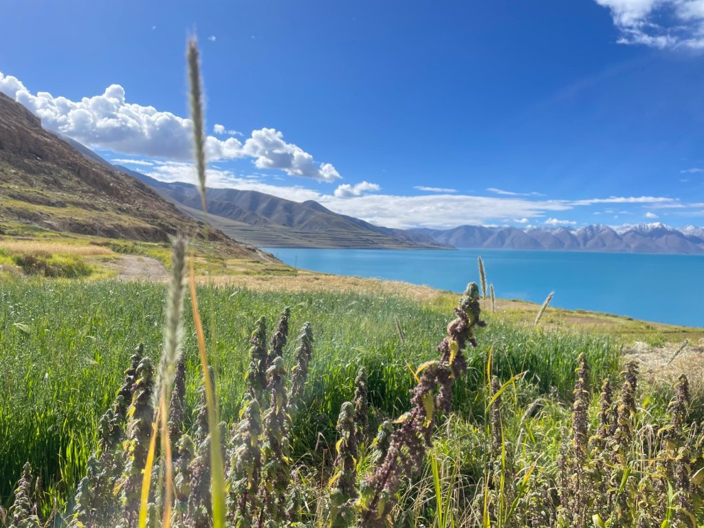 西藏的高山聖湖💙一措再措_2907636