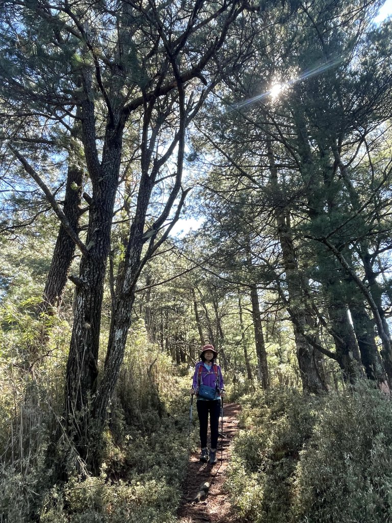 鹿林山+石水山+東埔山 20240402_2481629