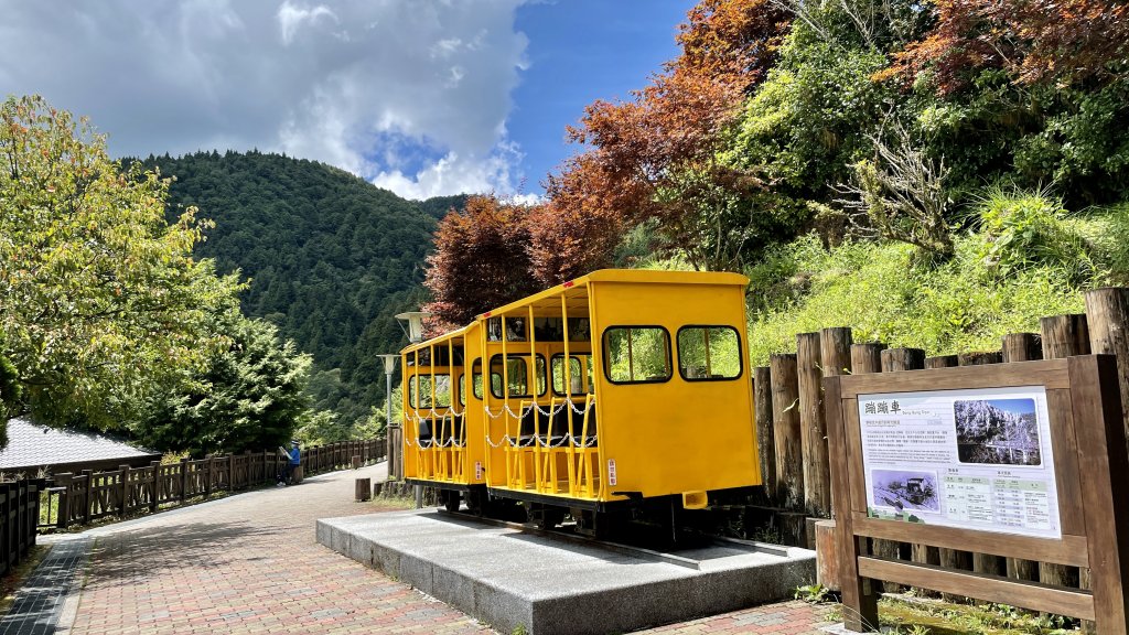 立秋的太平山健行→森鐵蹦蹦車→茂興懷舊步道→見晴古道_1825623