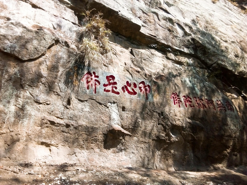 獅山步道&六寮步道_262499