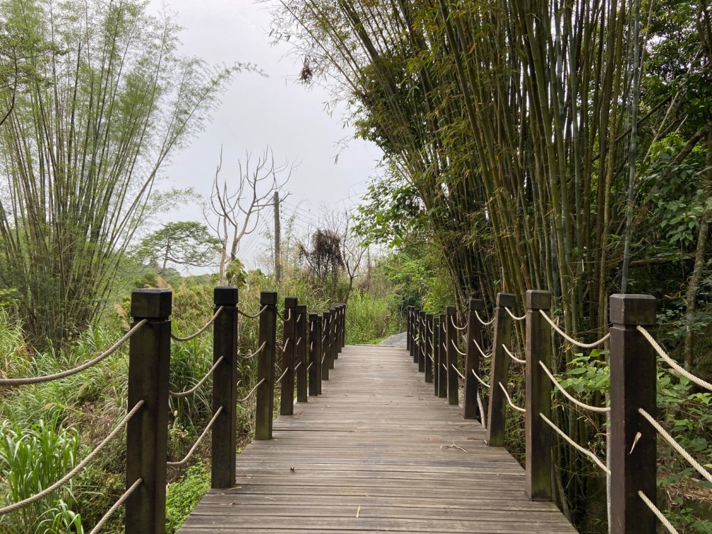 大坑2號原路來回_2130441