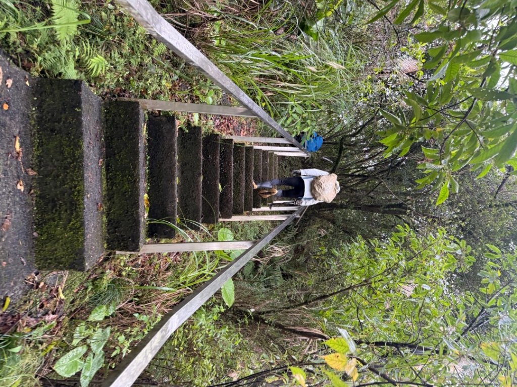 三林一后一紙及武山煤礦文化遺址8字行封面圖