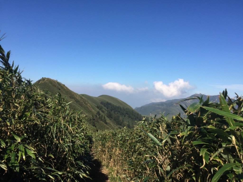 陽明山小觀音山_471858