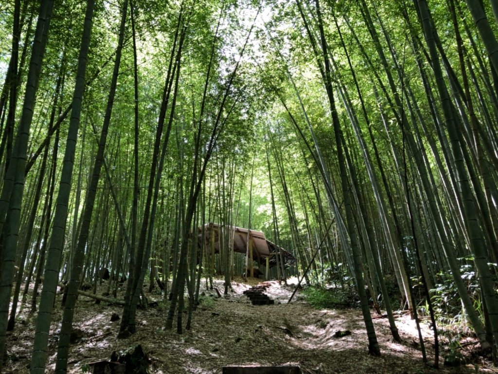 瑞太古道走雲載山_619656