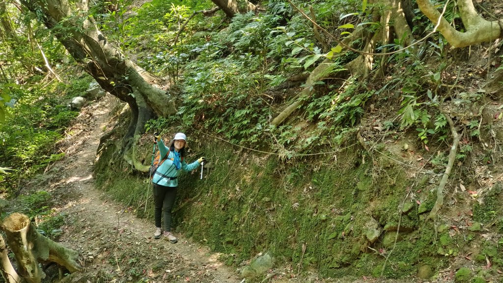 (姨婆趴趴走)第四十九集:攀登連走宜蘭梗枋山、橋板湖山_2747759