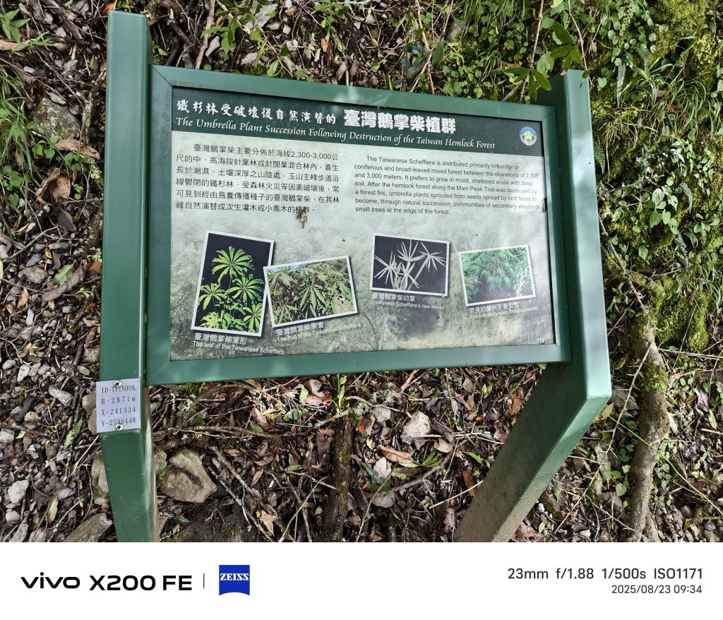 [玉山尋寶任務-04/12] 2025_0823 玉山前峰登山山徑_2869493