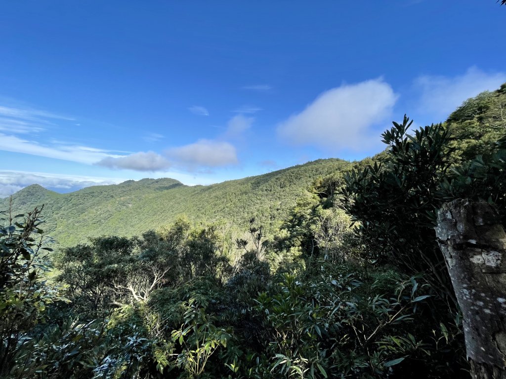 內鳥嘴山- 媲美百岳雲海, 山毛櫸盛宴_1515720