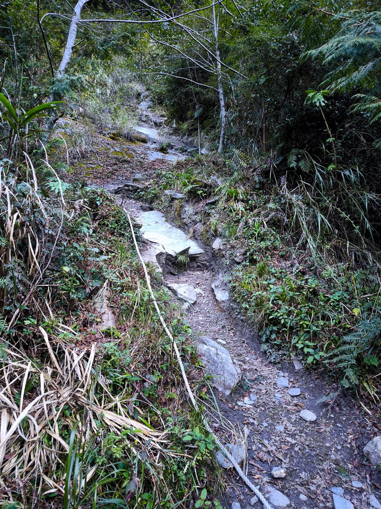 2026-02-09 庫哈諾辛山_2998831