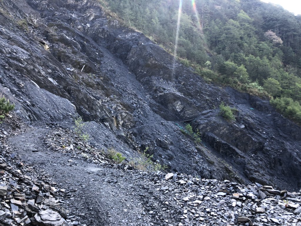 水鹿天堂-能高安東軍蹤走_572899