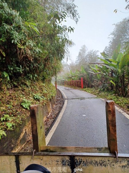 【宜蘭大同】走入魔法森林之仙女散落的珍珠。 太加縱走 (夢幻美的加羅湖)_2469323