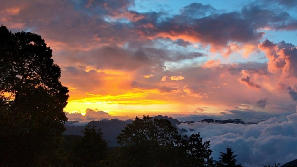 【阿里山私房景點】塔塔加夕陽下的彩霞_691626