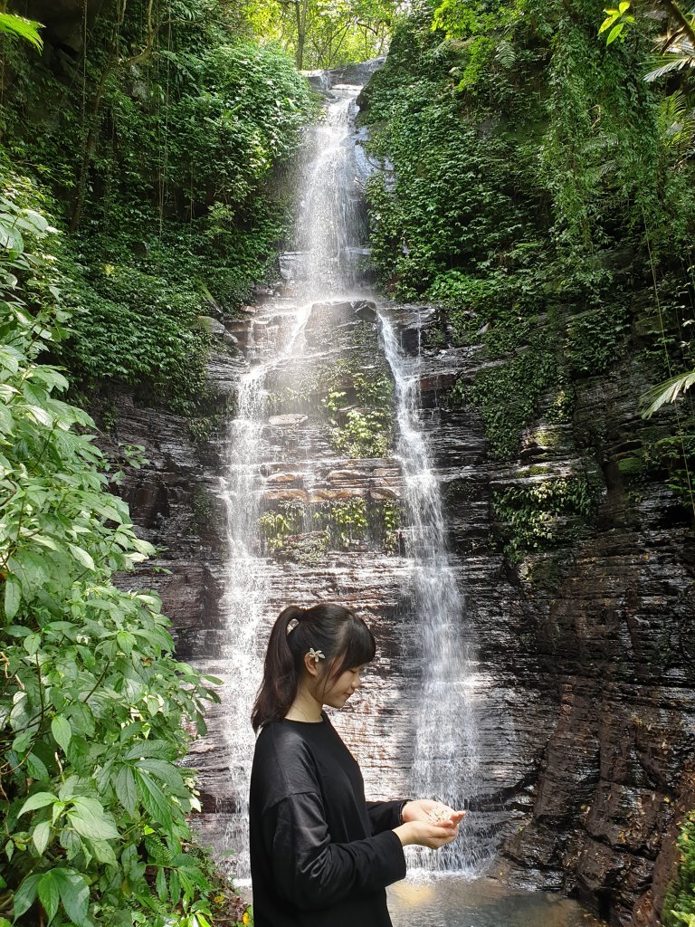 汐止大尖山與美麗的油桐花_748657