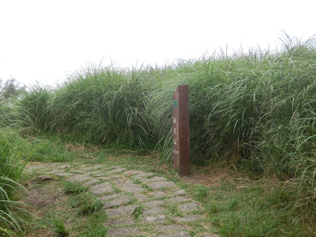 面天山．向天山．向天池_94305