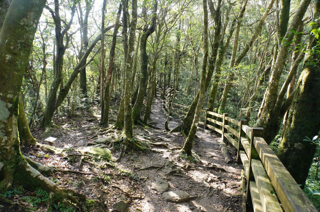 桃園-三峽 志繼山、東眼山、拉卡山、卡外山_3005191