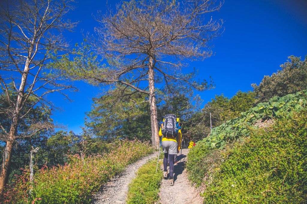 20190914~15-中橫大辣白姑大山_1818455